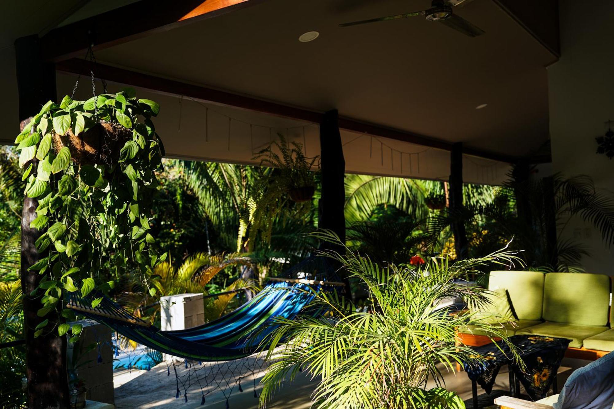 House In The Palm Forest Puerto Carrillo Exterior photo
